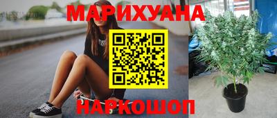 гидропоника Рузаевка