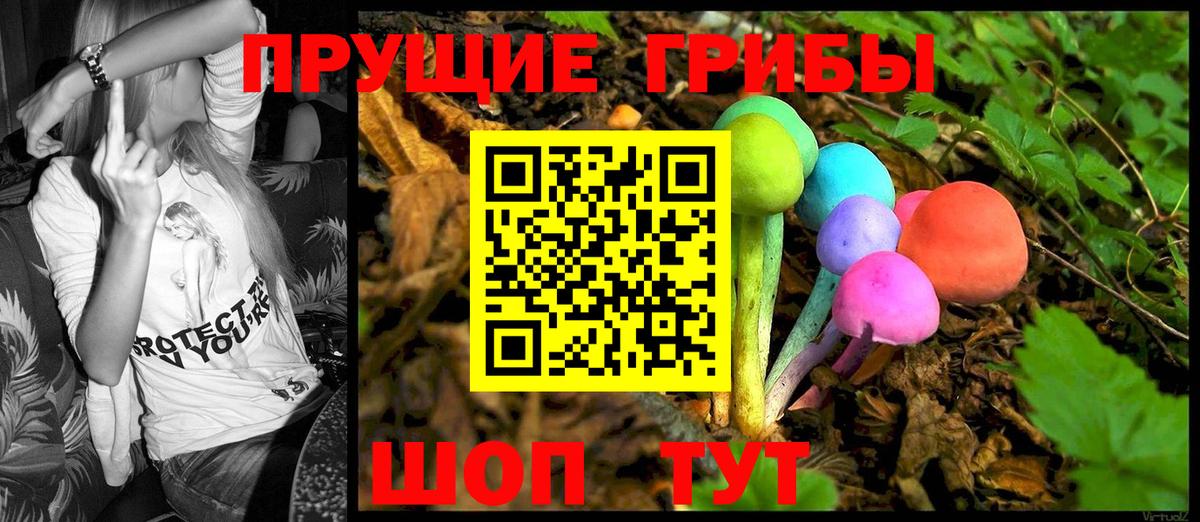 Псилоцибиновые грибы Magic Shrooms Сокол