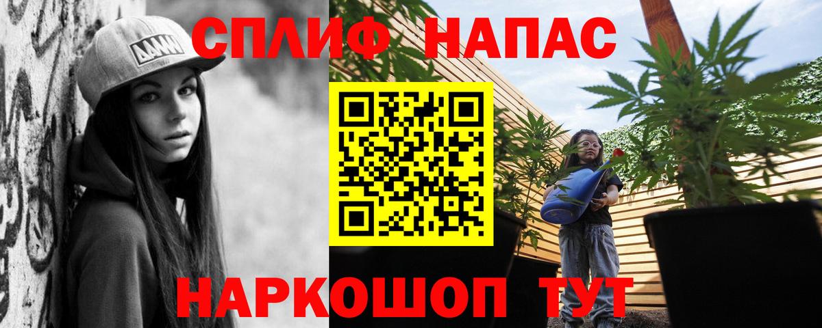 Канабис Amnesia Сокол